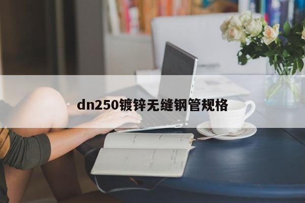 dn250鍍鋅無縫鋼管規(guī)格
