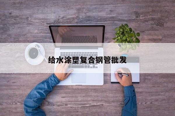 給水涂塑復(fù)合鋼管批發(fā)